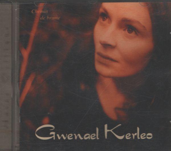 Gwenael Kerleo - Chemin de brume Bon état -  reconditionné disponible sur Label Emmaüs